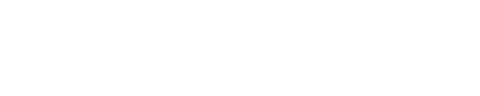 Capital Hair Products Logo